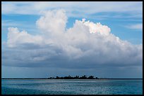 Vegetation-covered Long Key below tropical cloud. Dry Tortugas National Park ( color)