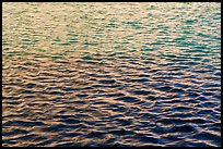 Walls reflections in moat. Dry Tortugas National Park ( color)