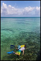 Man and boy snorkeling on reef. Dry Tortugas National Park, Florida, USA. (color)