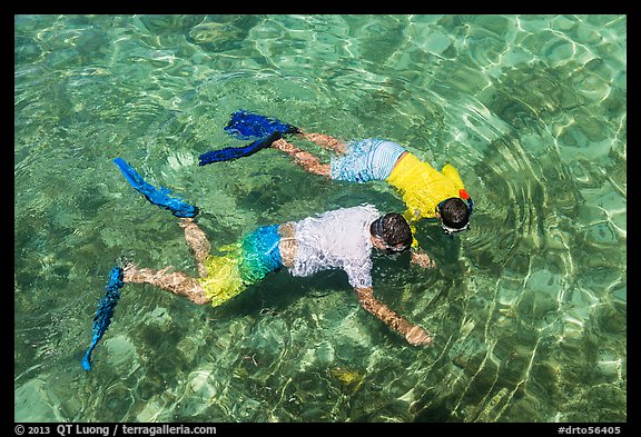 Man and boy seen snorkeling from above. Dry Tortugas National Park, Florida, USA.