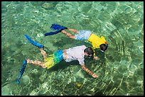 Man and boy seen snorkeling from above. Dry Tortugas National Park, Florida, USA. (color)