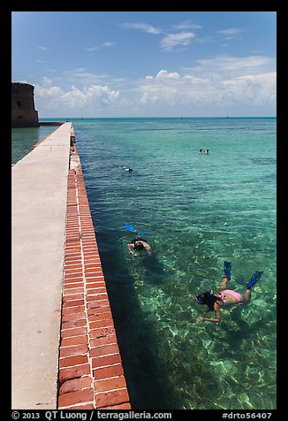Snorkelers next to Fort Jefferson seawall. Dry Tortugas National Park, Florida, USA.