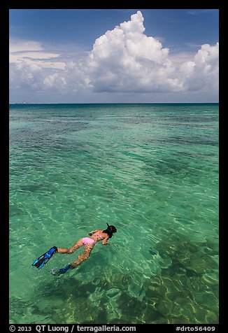 Woman snorkeling. Dry Tortugas National Park, Florida, USA.
