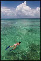 Woman snorkeling. Dry Tortugas National Park ( color)