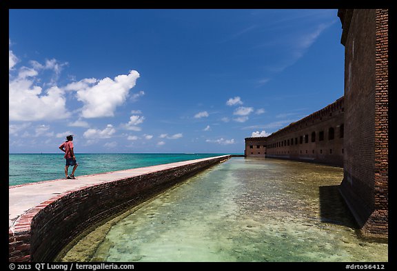 Park visitor looking, Fort Jefferson moat and seawall. Dry Tortugas National Park, Florida, USA.