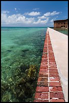 Seawall and coral reefs. Dry Tortugas National Park, Florida, USA. (color)
