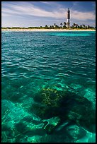 Coral head and Loggerhead Key lighthouse. Dry Tortugas National Park, Florida, USA. (color)