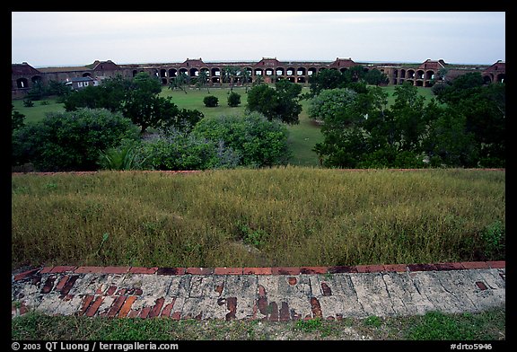 Grassy interior of Fort Jefferson. Dry Tortugas National Park (color)