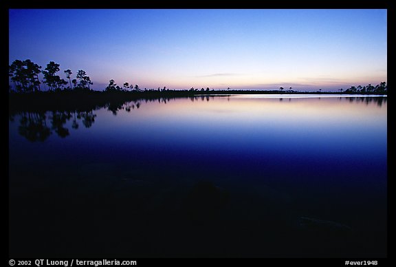 Pine Glades Lake, dusk. Everglades  National Park