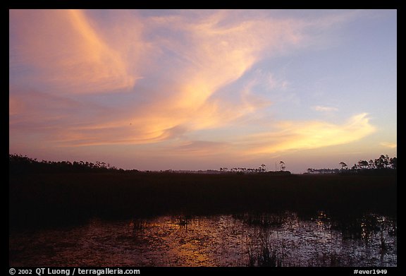Dawn on marsh and sawgrass prairie. Everglades National Park, Florida, USA.