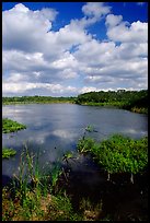 Eco pond. Everglades National Park, Florida, USA.