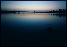 Pine Glades Lake, dusk. Everglades  National Park ( color)