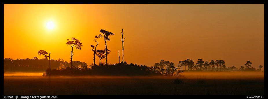 Sunrise landscape with mist on the ground. Everglades National Park (color)