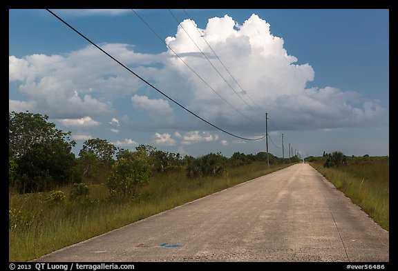 Road and cloud, Chekika. Everglades National Park (color)