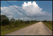 Road and cloud, Chekika. Everglades National Park ( color)