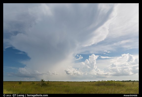 Storm clouds, Chekika. Everglades National Park, Florida, USA.