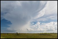 Storm clouds, Chekika. Everglades National Park ( color)