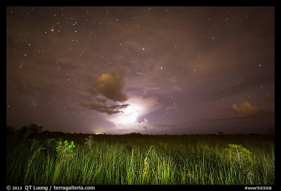 Sawgrass prairie with cloud lit by lightening. Everglades National Park (color)