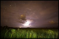 Sawgrass prairie with cloud lit by lightening. Everglades National Park, Florida, USA.