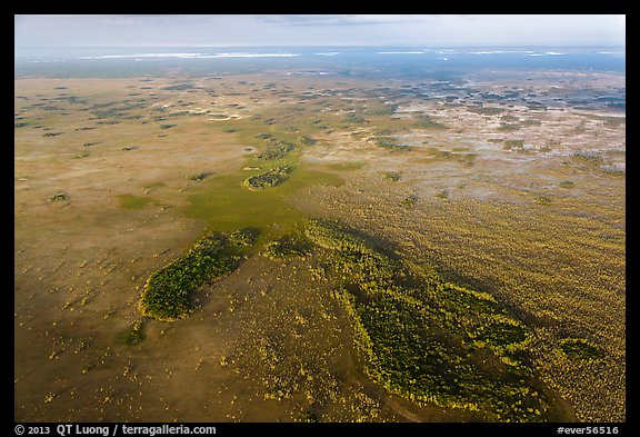 Aerial view of marsh with cypress. Everglades National Park, Florida, USA.