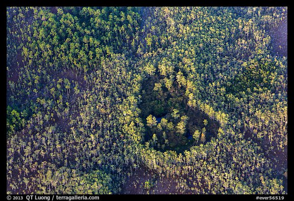Aerial view of a cypress hole. Everglades National Park (color)
