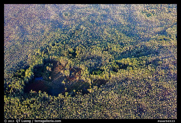 Aerial view of hole in dense cypress forest. Everglades National Park, Florida, USA.