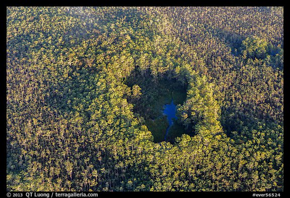 Aerial view of cypress hole. Everglades National Park, Florida, USA.