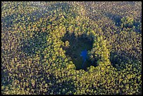 Aerial view of cypress hole. Everglades National Park, Florida, USA. (color)