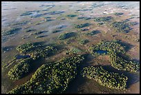 Aerial view of hammocks and fog. Everglades National Park ( color)