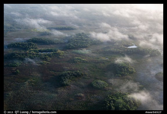 Aerial view of subtropical marsh, trees, and fog. Everglades National Park, Florida, USA.