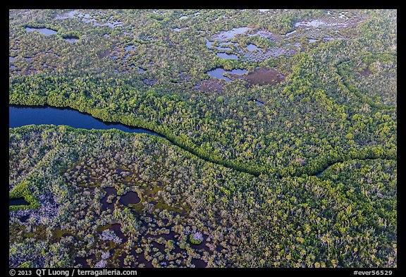 Aerial view of river and mangroves. Everglades National Park, Florida, USA.
