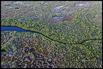 Aerial view of river and mangroves. Everglades National Park, Florida, USA. (color)