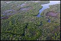 Aerial view of river and lake with chickees. Everglades National Park, Florida, USA. (color)