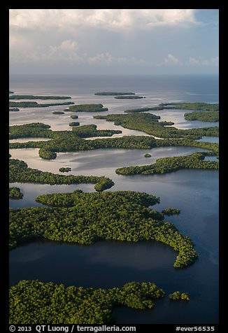Aerial view of Ten Thousand Islands and coast. Everglades National Park (color)