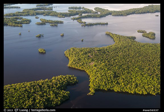 Aerial view of coastal mangrove islands. Everglades National Park, Florida, USA.