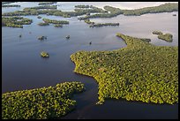 Aerial view of coastal mangrove islands. Everglades National Park, Florida, USA. (color)