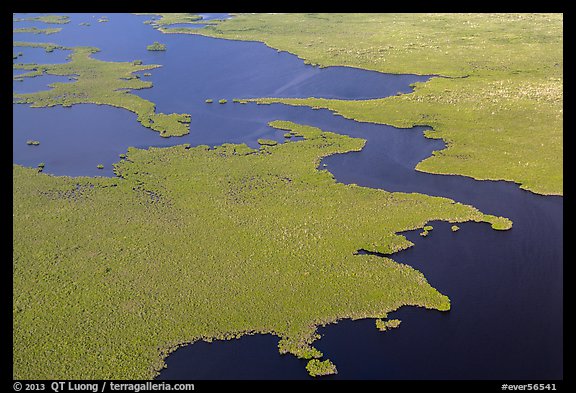 Aerial view of tropical mangrove coast. Everglades National Park, Florida, USA.