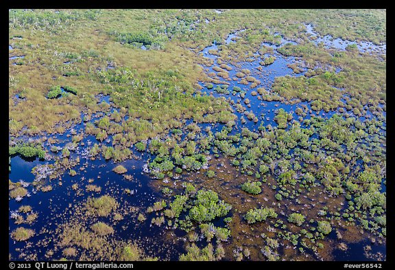 Aerial view of saltwater marsh. Everglades National Park, Florida, USA.