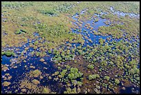 Aerial view of saltwater marsh. Everglades National Park, Florida, USA. (color)