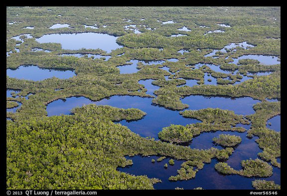 Aerial view of lakes, mangroves and cypress. Everglades National Park, Florida, USA.