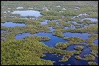 Aerial view of lakes, mangroves and cypress. Everglades National Park, Florida, USA. (color)