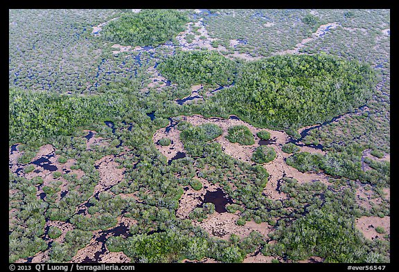 Aerial view of marsh with red color from mangroves. Everglades National Park, Florida, USA.