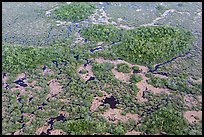 Aerial view of marsh with red color from mangroves. Everglades National Park, Florida, USA. (color)