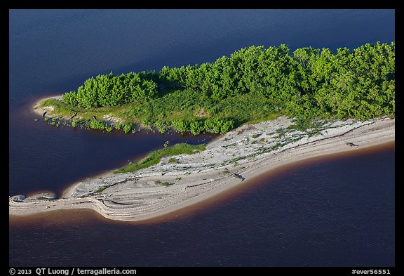 Aerial view of beach with alligators. Everglades National Park (color)