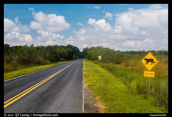 Road with Florida Panther sign. Everglades National Park, Florida, USA.