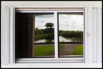 Slough, Royal Palms Visitor Center window reflexion. Everglades National Park, Florida, USA. (color)