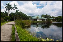 Anhinga Trail, Royal Palms Visitor Center. Everglades National Park, Florida, USA. (color)