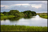 Pond, sawgrass prairie, and hammock, Shark Valley. Everglades National Park ( color)