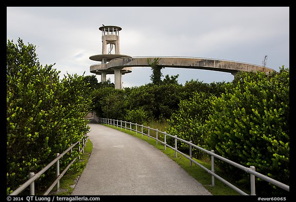 Trail and observation tower, Shark Valley. Everglades National Park, Florida, USA.