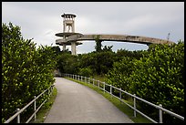 Trail and observation tower, Shark Valley. Everglades National Park ( color)